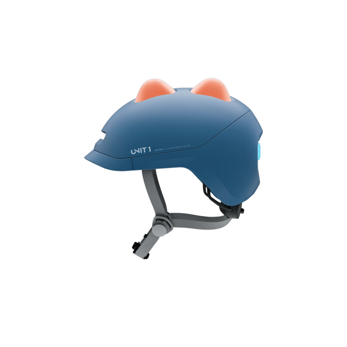 UNIT1 SPARKY INSERTS DINO