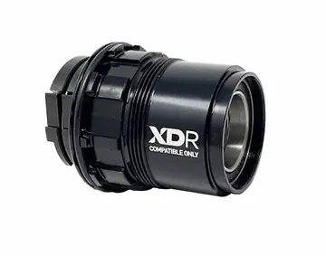 ELITE BODY XD/XDR DIRECT DRIVE-1