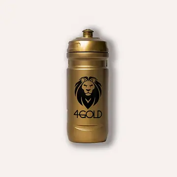 4GOLD GOLDEN BOTTLE 600ML-1