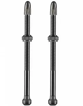 D.SCHWALBE VENTIEL TUBELESS PER 2 100 MM-1